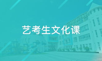 天津桃源教育咨詢與淘學(xué)培訓(xùn) 教育服務(wù)質(zhì)量深度解析